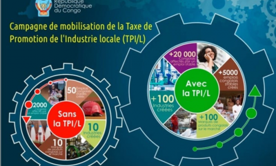 DRC: FPI prohibits directing the Industry Promotion Tax to banks in crisis